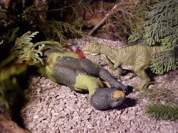 Muttaburrasaurus and Dwarf Allosaurus