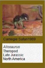 Carnegie Safari Allosaurus