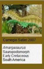 Carnegie Safari Amargasaurus