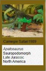 Carnegie Safari Apatosaurus 