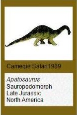 Carnegie Safari Apatosaurus  