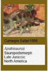 Carnegie Safari Apatosaurus