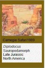 Carnegie Diplodocus