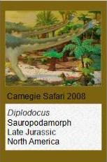 Carnegie Diplodocus 