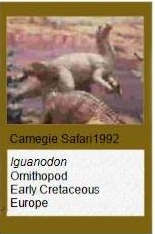 Carnegie Iguanodon