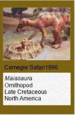Carnegie Maiasaura