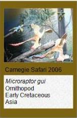 Carnegie Microraptor