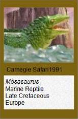 Carnegie Mosasaurus