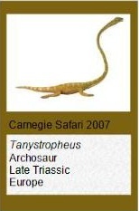 Carnegie Tanystropheus