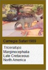 Carnegie Triceratops