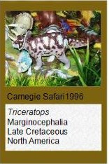 Carnegie Triceratops