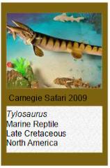 Carnegie Tylosaurus