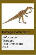 Carnegie Velociraptor