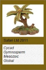 Wild Safari Gymnosperm