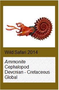 Wild Safari Ammonites