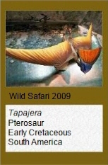 Wild Safari Tapajera