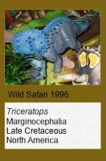 Wild Safari Triceratops