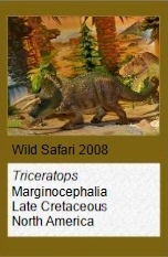 Wild Safari Triceratops
