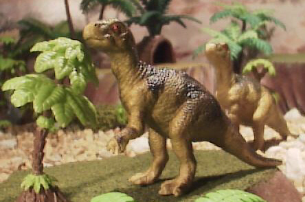 Psittacosaurus, from the Oriental Trading Company. It is a rare figure, possibly because of name Iguanodon stamped it. Getting the names correct is a common problem with many figures made in China.