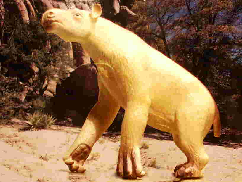 Antigo Pangolim Parasaurolophus. Animal Pré-histórico Com Um