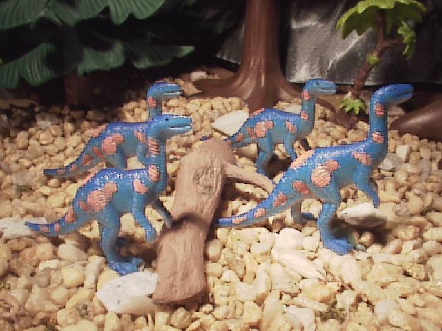 Coelophysis from a series of dinosaurs first marketed by K&M toys and later by a variety of different companies eventually becoming common in Dollar Stores as party favors.