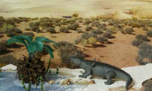Cog Ltd Desmatosuchus.