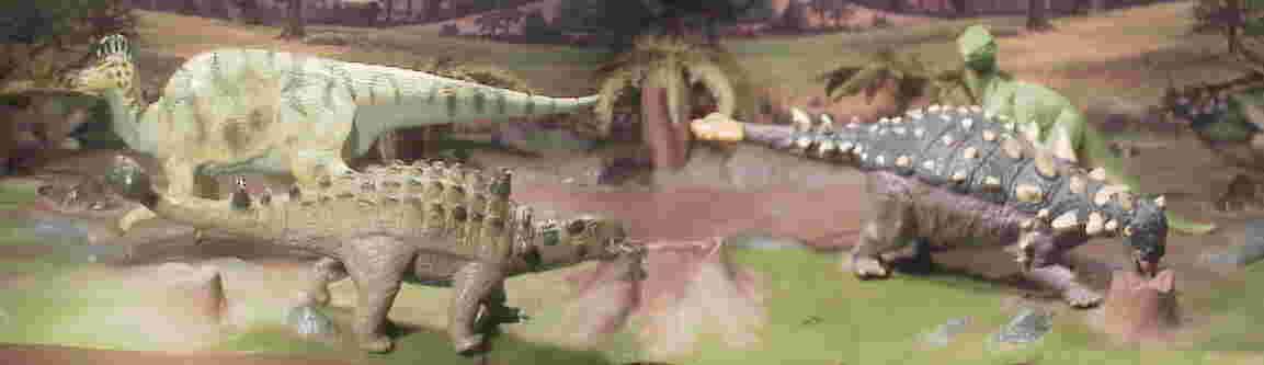 Stegocerus Euoplocephalus Corythosaurus
