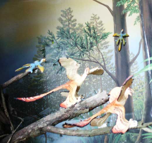 Carnegie Safari and Safari Ltd ANHM Feathered Dino tube Mircroraptor gui.