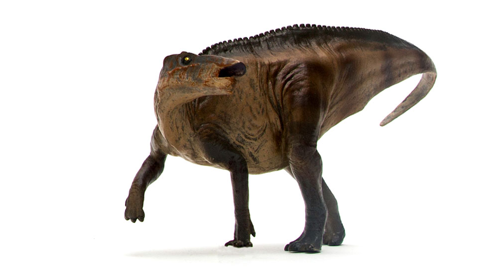 PNSO Shantungosaurus