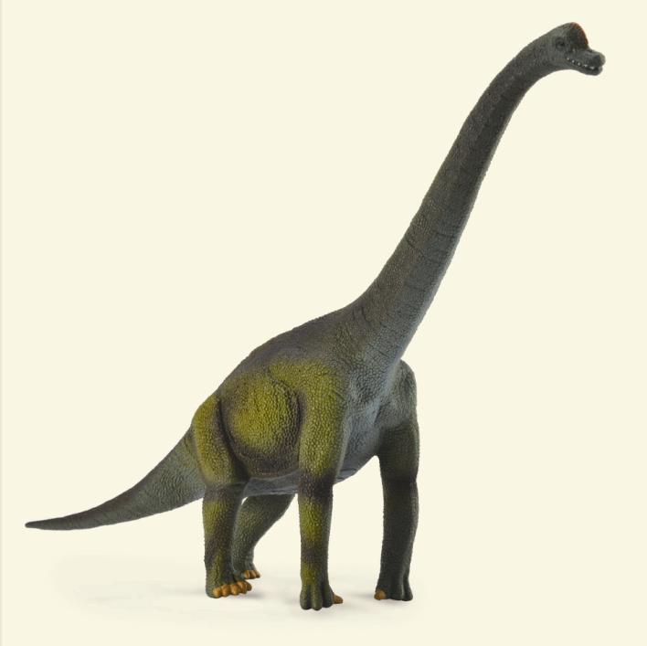 Brachiiosaurus CollectA Popular