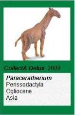 Deluxe Paraceratherium