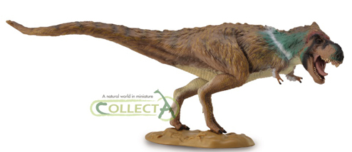Tyrannosaurus CollectA Popular